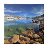 Zwart Beer Tarn - Sierra Tegeltje (Voorkant)