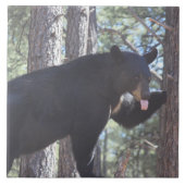 Zwart Beer Tegeltje (Voorkant)