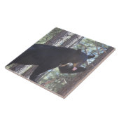 Zwart Beer Tegeltje (Zijkant)