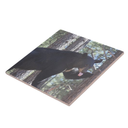 Zwart Beer Tegeltje (Zijkant)