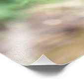 zwart beer, Ursus americanus, kubusje in een boom Foto Afdruk (Hoek)