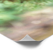 zwart beer, Ursus americanus, kubusje in een boom Poster (Hoek)