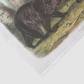 Zwart Beer van Noord-Amerika (1845) Ontkoppeling Tissuepapier (Detail)