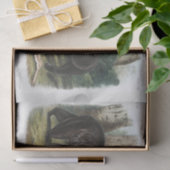 Zwart Beer van Noord-Amerika (1845) Ontkoppeling Tissuepapier (Geschenk)