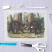 Zwart Beer van Noord-Amerika (1845) Ontkoppeling Tissuepapier (Craft)