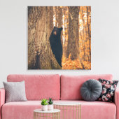 Zwart Beer, vast door een boom Canvas Afdruk (Insitu (Woonkamer))