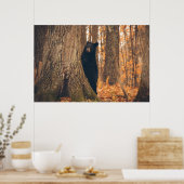 Zwart Beer, vast door een boom Poster (Keuken)