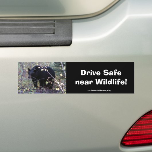 Zwart Beer welp Rijden Veiligheid Bumpersticker (Op auto)
