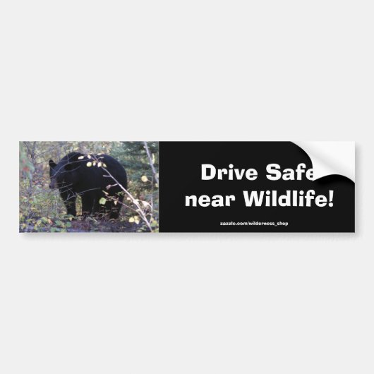 Zwart Beer welp Rijden Veiligheid Bumpersticker (Voorkant)