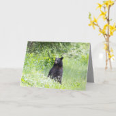 Zwart beer wenskaart kaart (Gele Bloem)