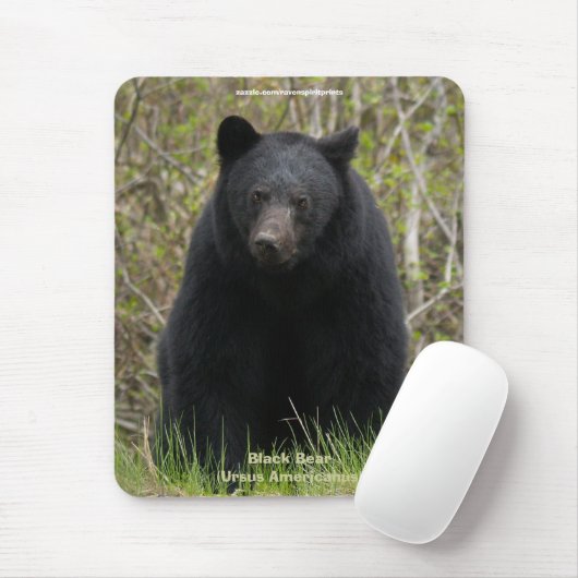 Zwart Beer Wildlife Supporter Mousepad Muismat (Met muis)