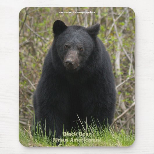 Zwart Beer Wildlife Supporter Mousepad Muismat (Voorkant)