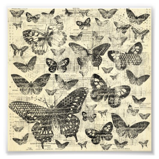 Zwart-beige, vlindervliegen, , shabbyschil, patte foto afdruk (Voorkant)