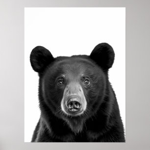 Zwart Beren Bosland Modern Portret zwart wit Poster