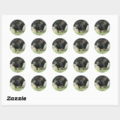 Zwart Beren Stickers (Vel)