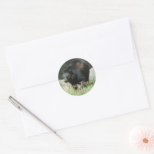 Zwart Beren Stickers (Envelop)