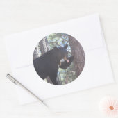 Zwart Beren Stickers (Envelop)