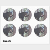 Zwart Beren Stickers (Vel)
