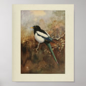 zwart Bird Black — Green Print (Voorkant)