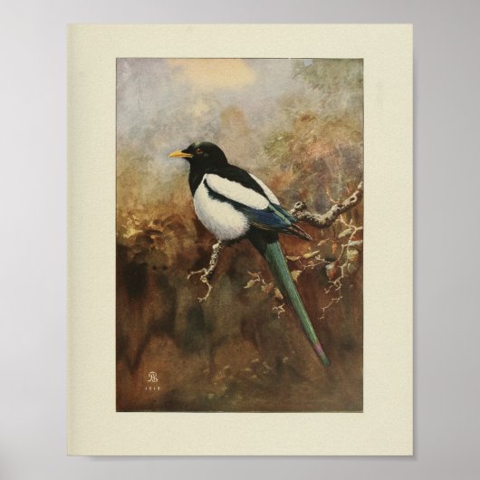 zwart Bird Black — Green Print (Voorkant)