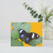 Zwart, blauw, wit gebotteerd Butterfly DIY-Briefka Briefkaart (Staand voorkant)