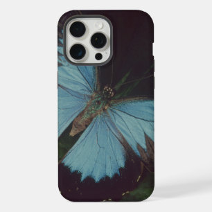 Zwart-blauwe vlinder iPhone 15 pro max case