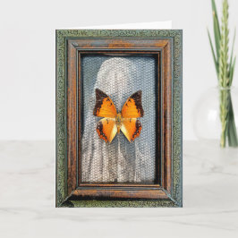 Zwart-Bordered Charaxes Butterfly Wenskaart V1 Kaart