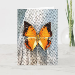 Zwart-Bordered Charaxes Butterfly Wenskaart V4 Kaart