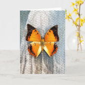 Zwart-Bordered Charaxes Butterfly Wenskaart V4 Kaart (Gele Bloem)