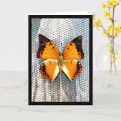 Zwart-Bordered Charaxes Butterfly Wenskaart V5 Kaart (Gele Bloem)