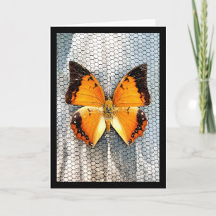 Zwart-Bordered Charaxes Butterfly Wenskaart V5 Kaart