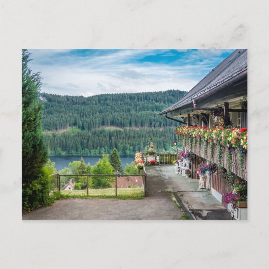 Zwart bos, Duitsland Briefkaart (Voorkant)