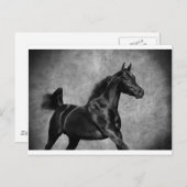 Zwart Briefkaart (Voorkant / Achterkant)