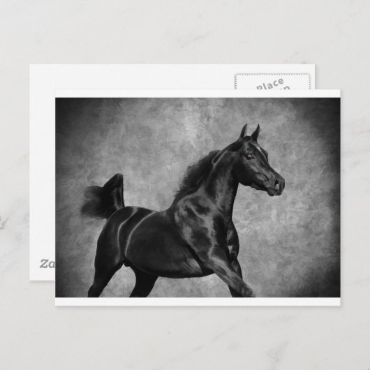 Zwart Briefkaart (Voorkant / Achterkant)