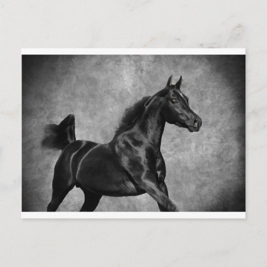 Zwart Briefkaart (Voorkant)