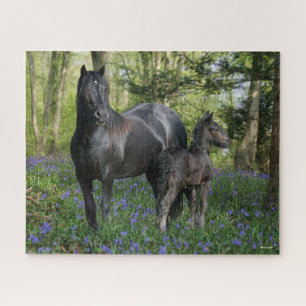 Zwart-bros merrie en schimmel in blauwe gordels legpuzzel