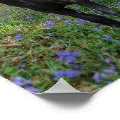 Zwart-bros merrie en schimmel in blauwe gordels poster (Hoek)