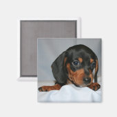 Zwart/Bruin Dachshund Pup Magneet (Voorkant / Achterkant)