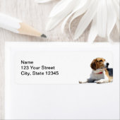 Zwart Bruin en Wit Beagle Hond Retouradres Etiket (Insitu)