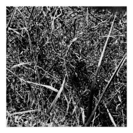 zwart buitenaards gras perfect poster