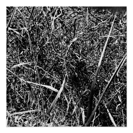 zwart buitenaards gras perfect poster (Voorkant)