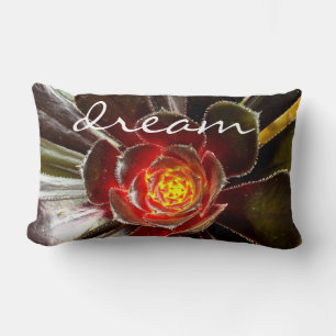 Zwart Cactus Photo Dream Quote Script Bold Modern Kussen