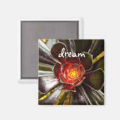 Zwart Cactus Photo Dream Quote Script Modern Bold Magneet (Voorkant / Achterkant)