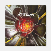 Zwart Cactus Photo Dream Quote Script Modern Bold Magneet (Voorkant)