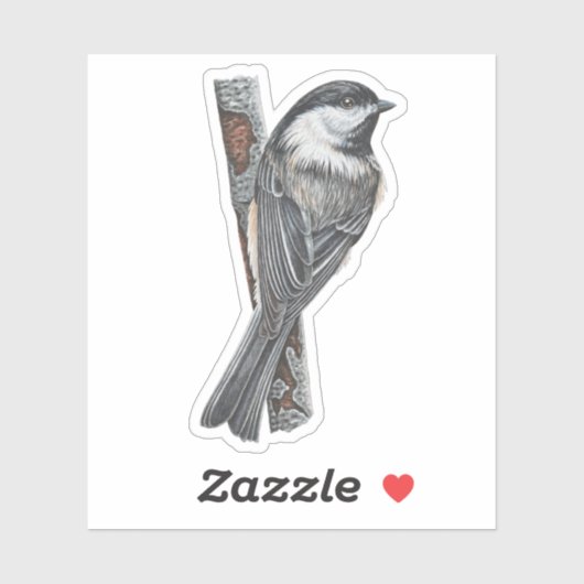 Zwart-capped Chickadee Sticker (Vel)