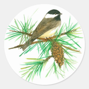 Zwart Capped Chickadee Witte Pine Cone Tassel Ronde Sticker