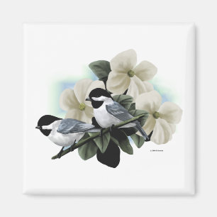 Zwart Capped Chickadees Magneet