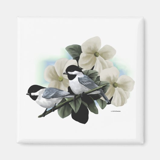 Zwart Capped Chickadees Magneet (Voorkant)