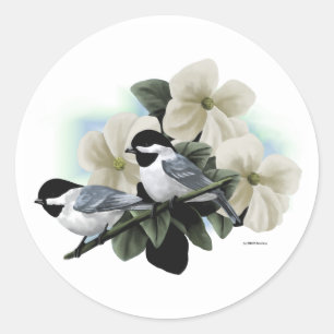 Zwart Capped Chickadees Ronde Sticker