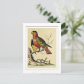  zwart-capped Lory Parrot Vogelvogel Natuur Briefkaart (Staand voorkant)